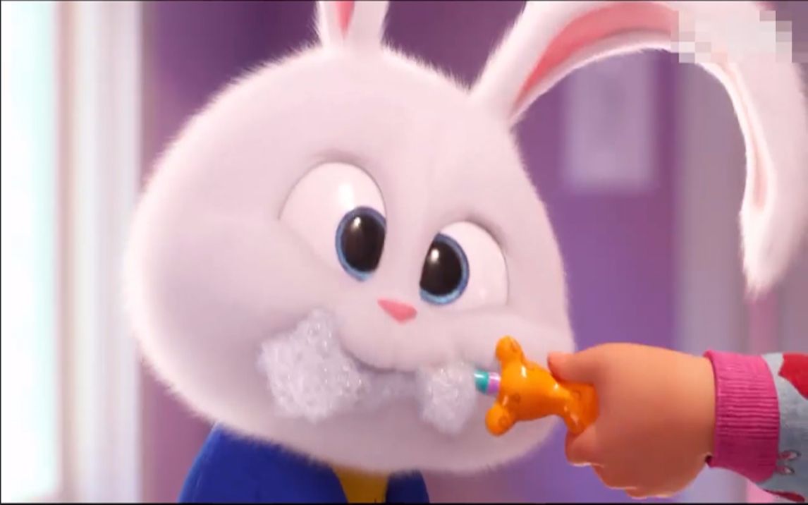 爱宠大机密2预告片你们小白队长又回来了