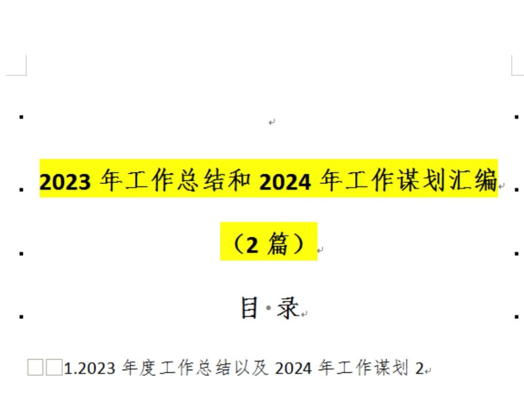 2023年工作总结和2024年工作谋划汇编(2篇)(全文共6990字)哔哩哔哩bilibili