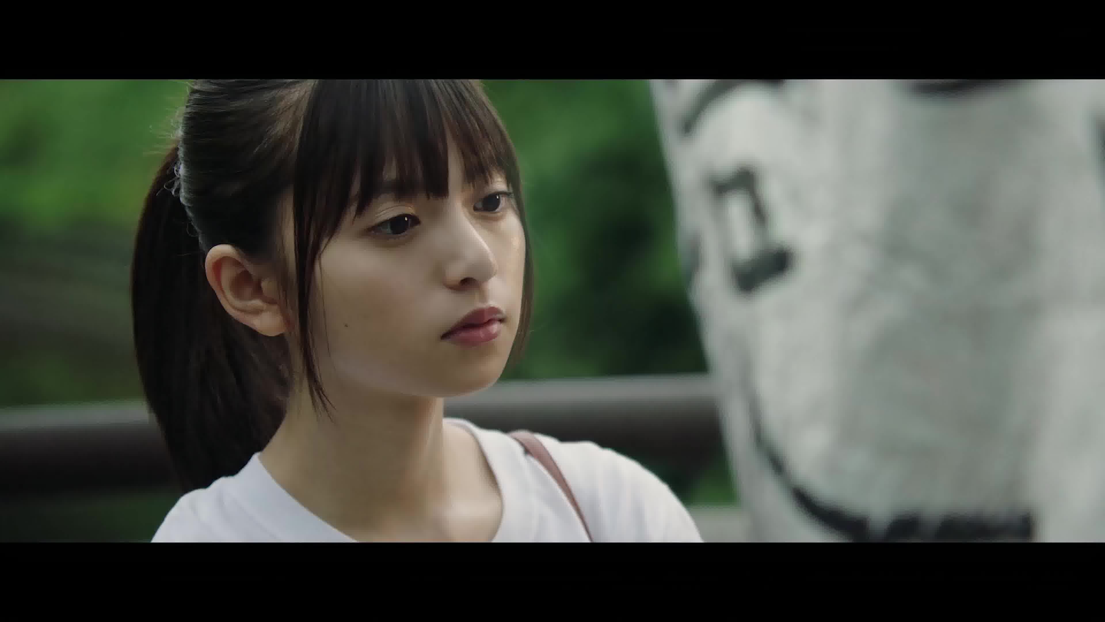 4k b站特别版《那些年》去过的地方 台湾平溪线铁道 九份圣地巡礼