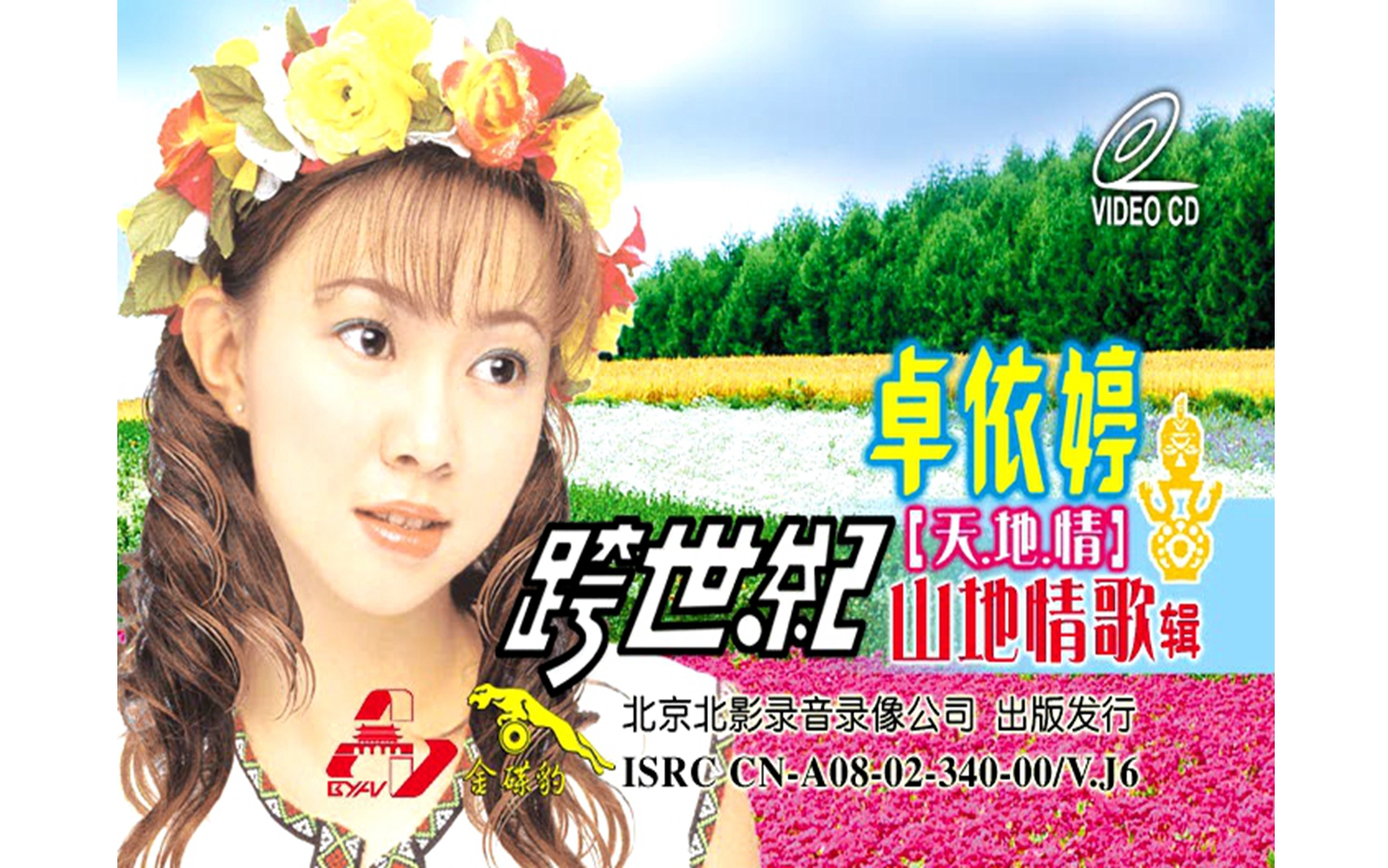 【卓依婷】《天地情》VCD KARAOKE哔哩哔哩bilibili