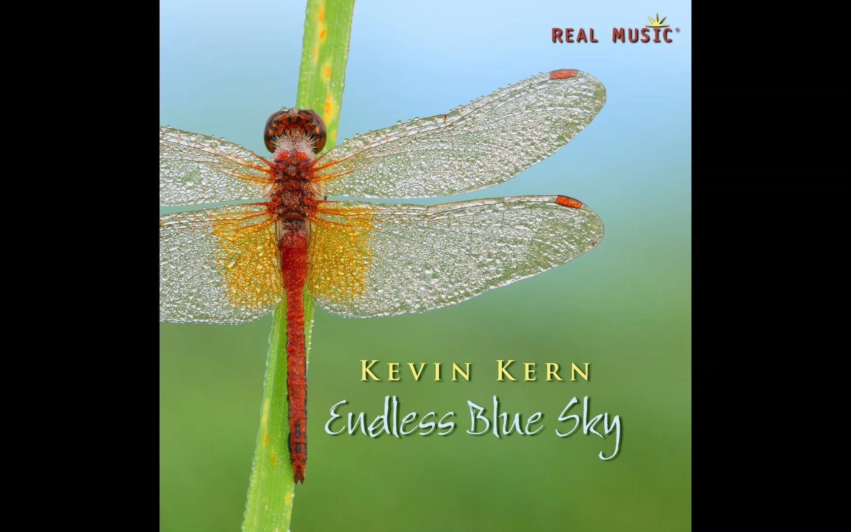 [图]Kevin Kern（凯文·科恩）-Endless Blue Sky（幸福蓝天/无尽蓝天）-A Thousand Miles Away（千里之外）