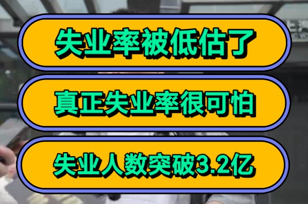 失业率被低估了,真正失业率很可怕,失业人数突破3.2亿!哔哩哔哩bilibili