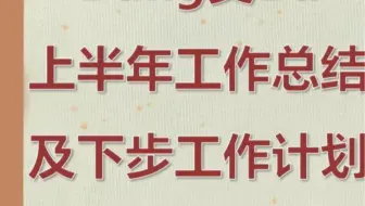 党支部上半年工作总结及下步工作计划