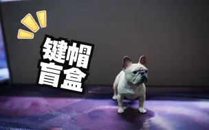 Download Video: 50元三套的光头键帽盲盒？！能开出什么