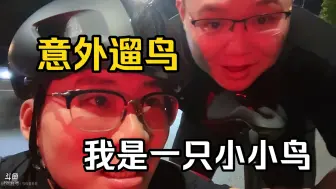 Download Video: PDD拉陈新仔夜骑意外遛鸟，水友们被迫成观鸟者