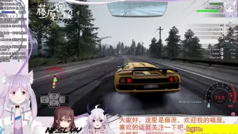 与LYY和橘子一起欢乐飚车（NFS14RE）