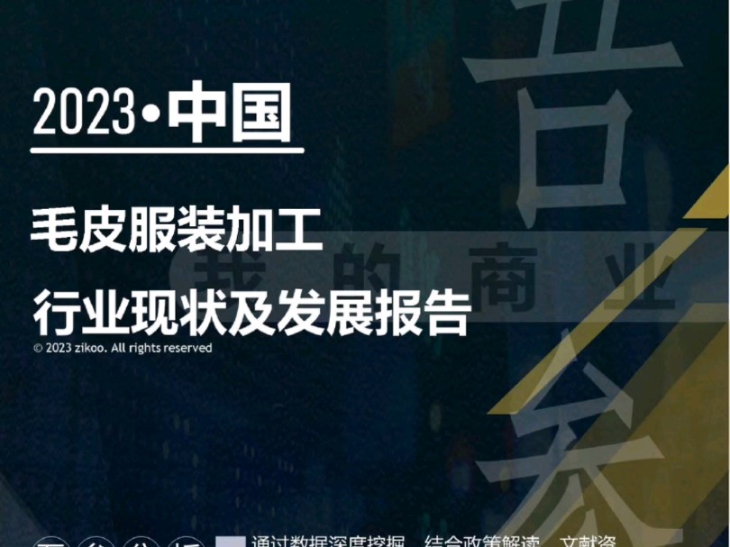 2023年版毛皮服装加工行业现状及发展报告哔哩哔哩bilibili