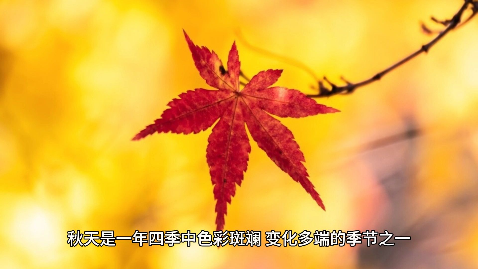 [图]秋天的景色变化：大自然的色彩华章