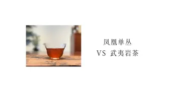 Download Video: 武夷岩茶VS凤凰单丛，十大区别