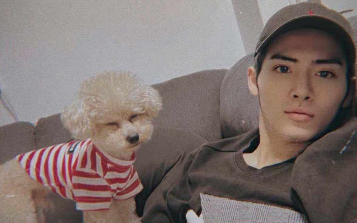 po酱看到力丸爸爸的这条wb一定很开心吧