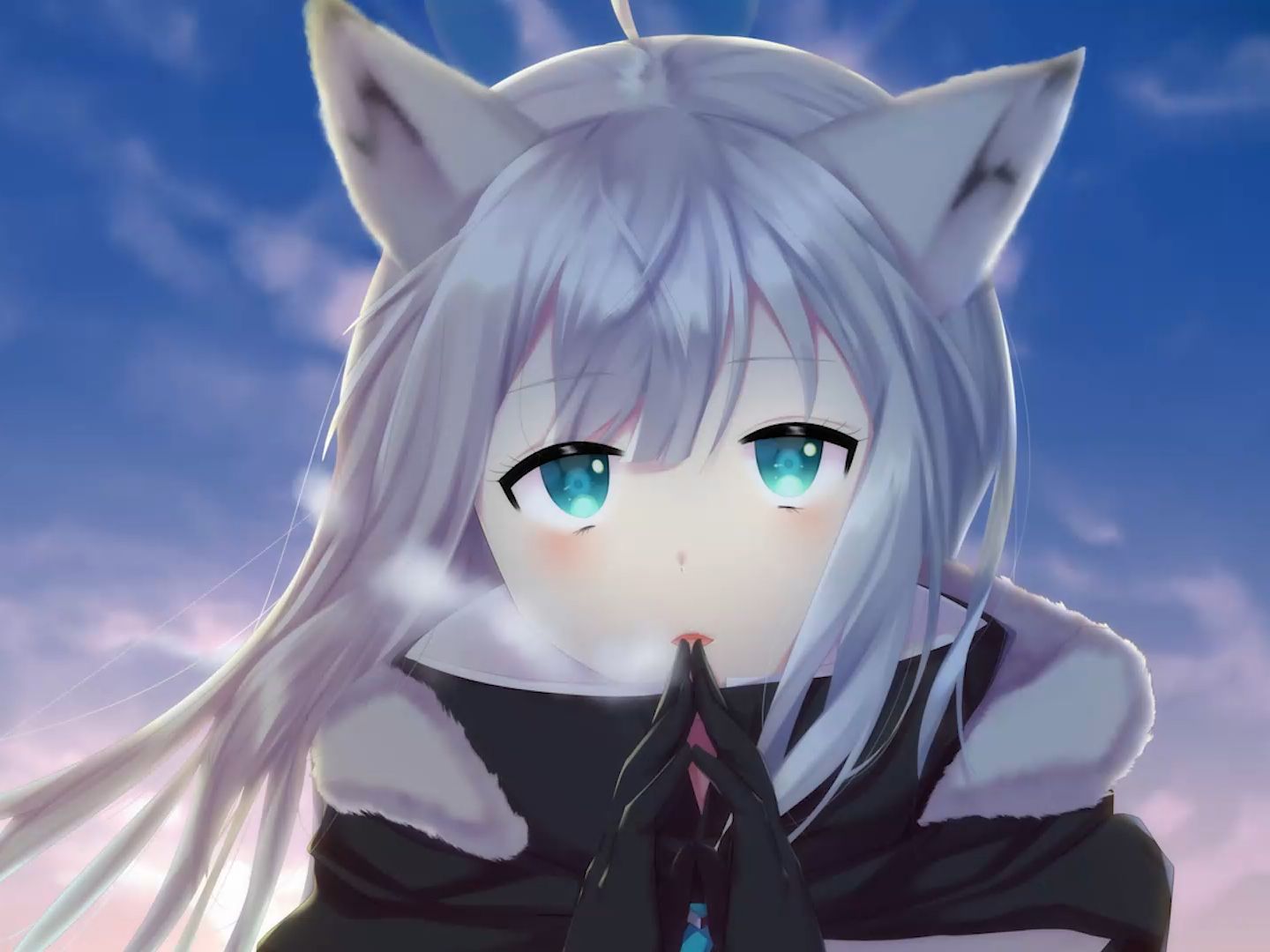 Сосны на морском берегу