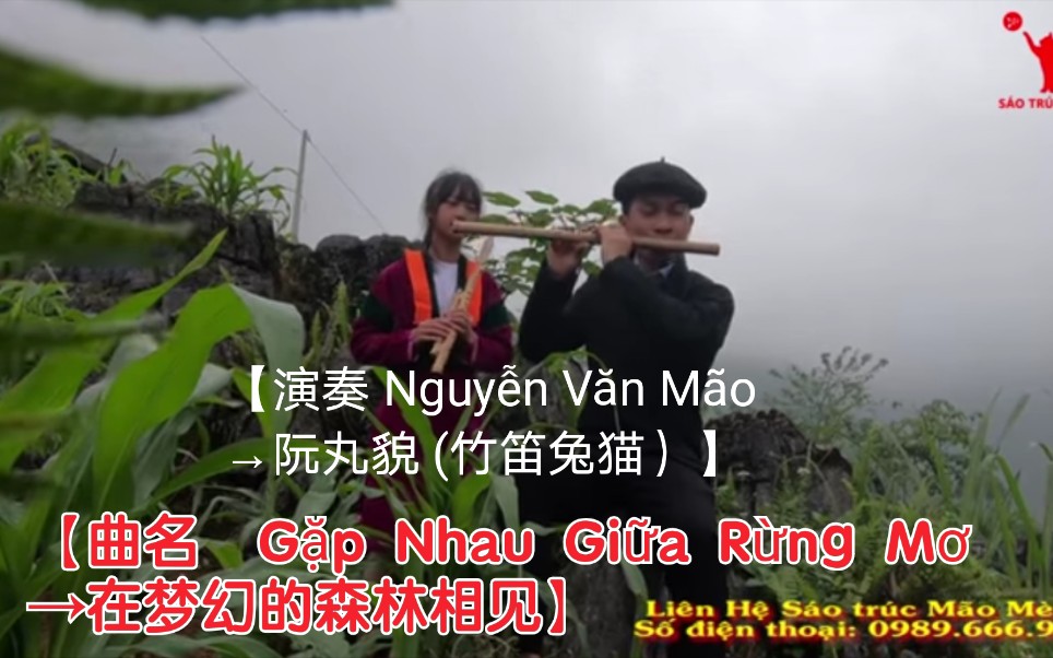 [图]【越南歌曲】【竹笛演奏】【演奏 Nguyễn Văn Mão→阮丸貌 (竹笛兔猫）】【曲名 Gặp Nhau Giữa Rừng Mơ→在梦幻的森林相见】