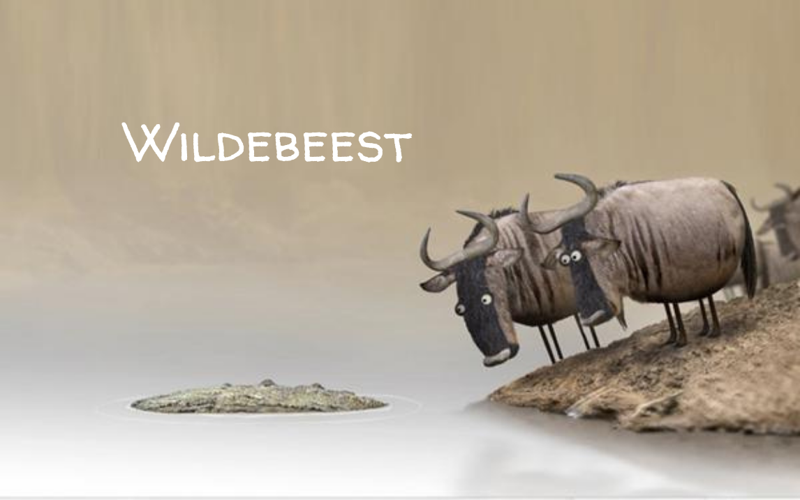 英国蠢萌动画短片 牛羚 (Wildebeest)哔哩哔哩bilibili