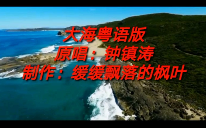 《大海》还有粤语版,很沧桑的感觉_哔哩哔哩_bilibili
