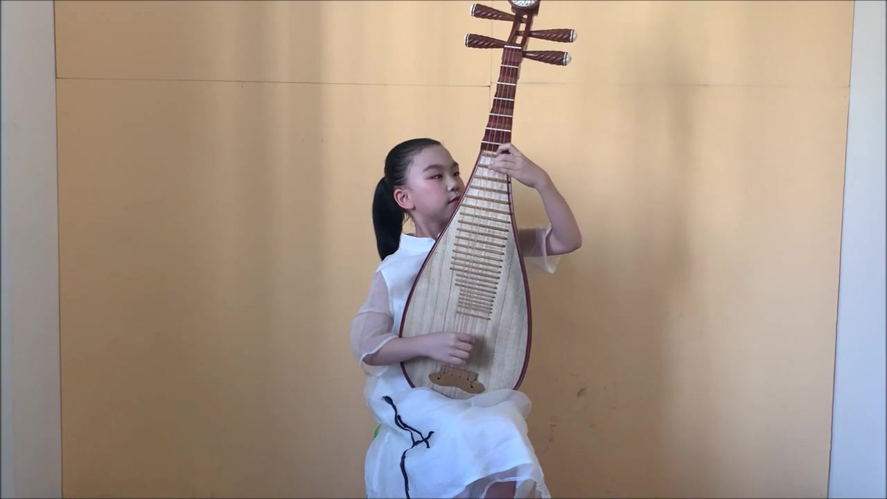 第四届"敦煌杯"琵琶艺术菁英展演非职业组金奖选手决赛视频