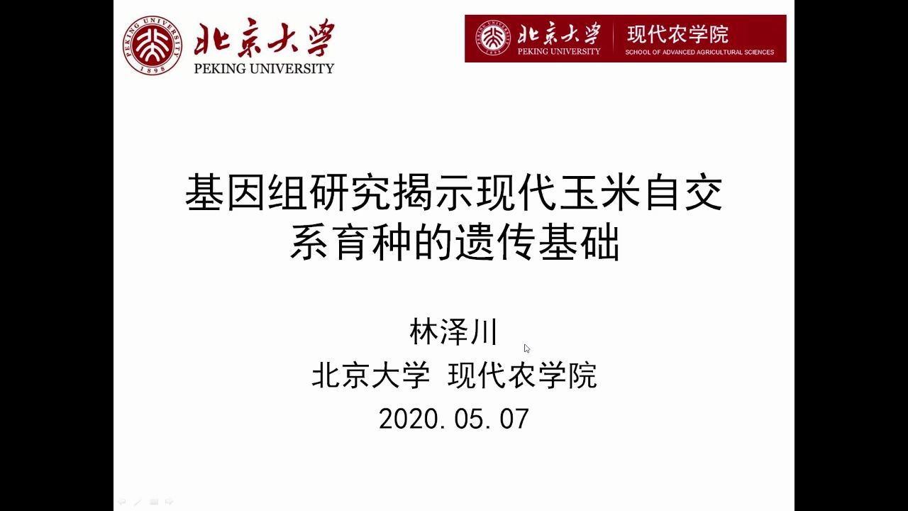 大咖直播 | 基因组揭示现代玉米自交系育种的遗传基础哔哩哔哩bilibili