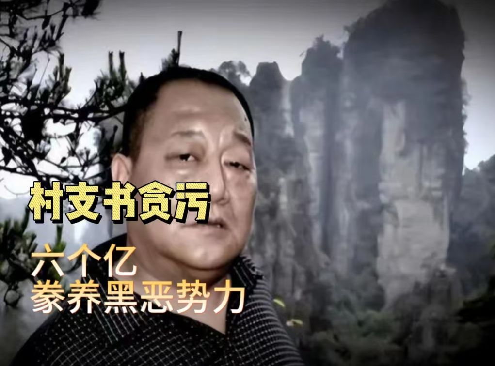 扫黑除恶,村支书贪污六亿,豢养黑恶势力!