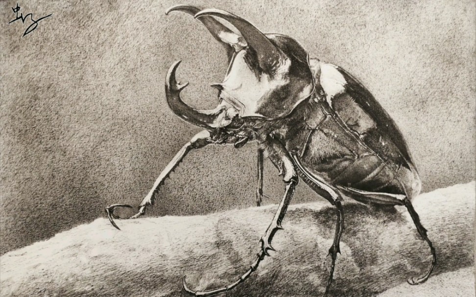 5中性笔手绘,阿特拉斯南洋大兜虫.