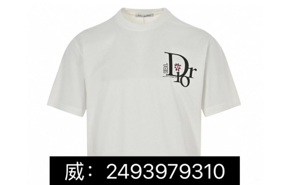 dior迪奥 &rel23ss 联名款字母印花短袖