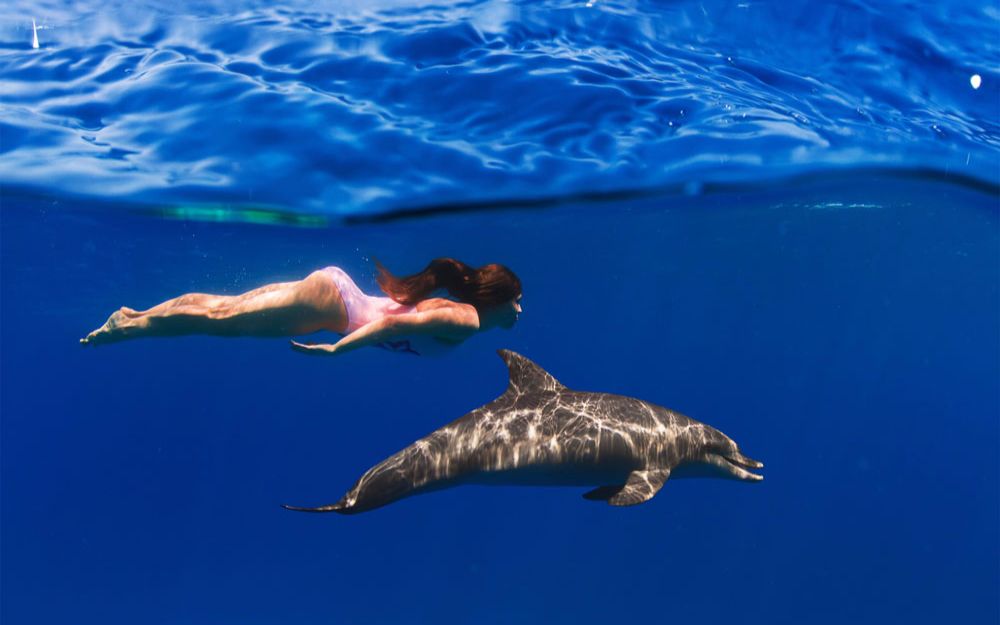 难得一见,女孩与海豚冲浪共舞,上演真实版美女与野兽