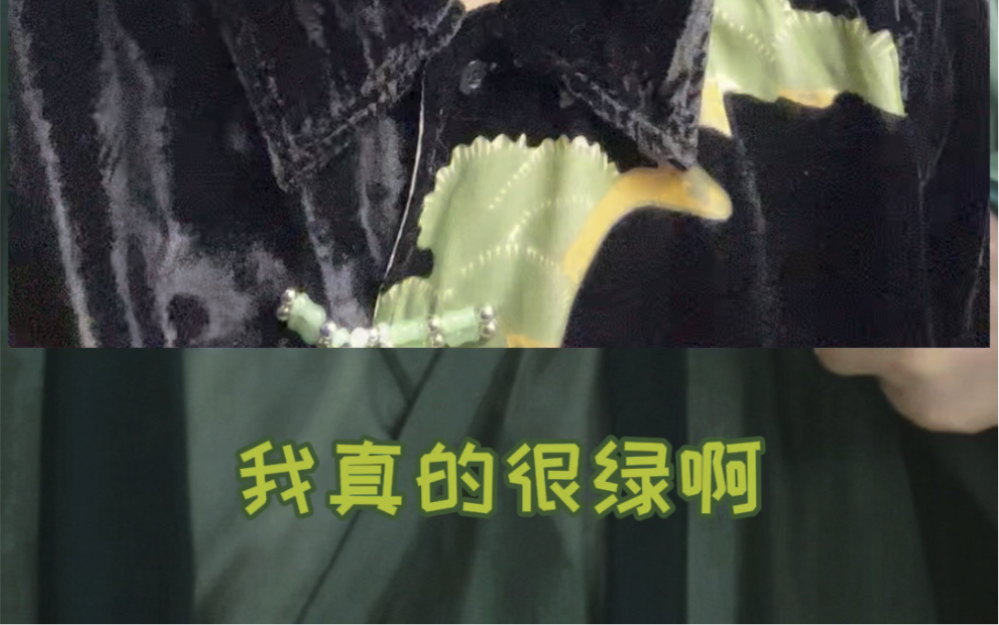 一些自省和澄清:沉迷美色 重点在美不在色 绿化行动刻不容缓哔哩哔哩bilibili