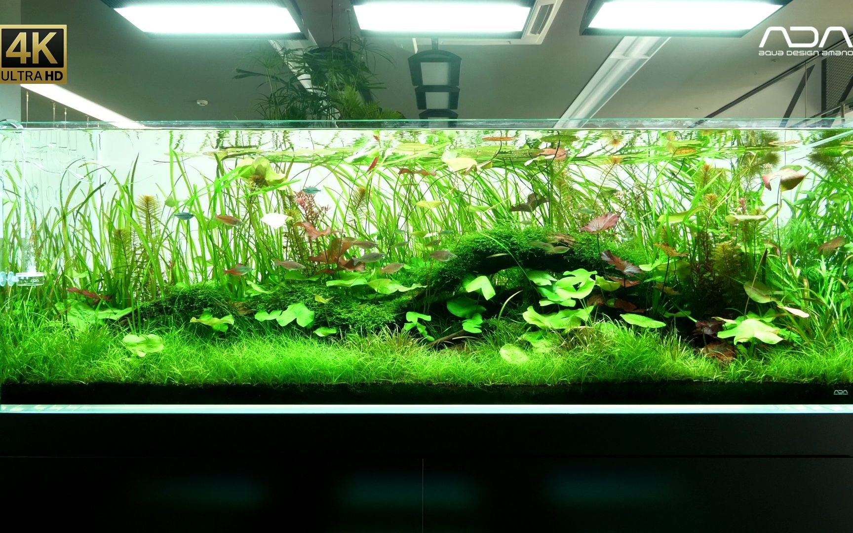 [adaview] -4k- 自然水族馆画廊水景选择 vol.