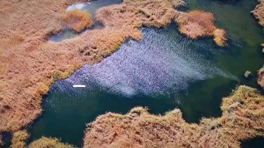 [图]航拍青土湖风景