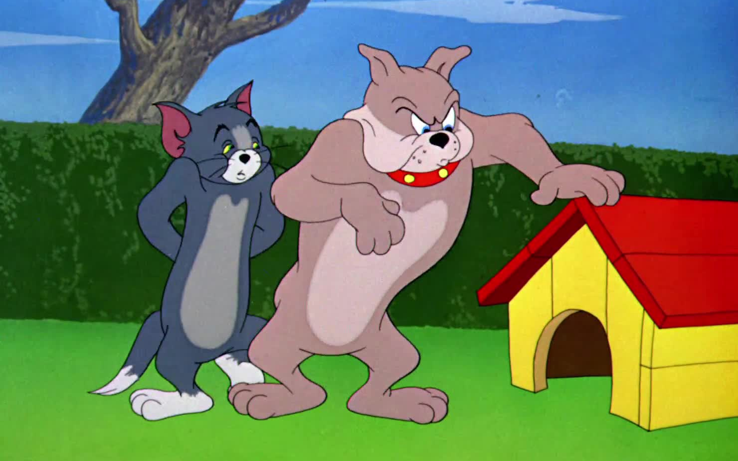 狗屋 The Dog House（猫和老鼠）