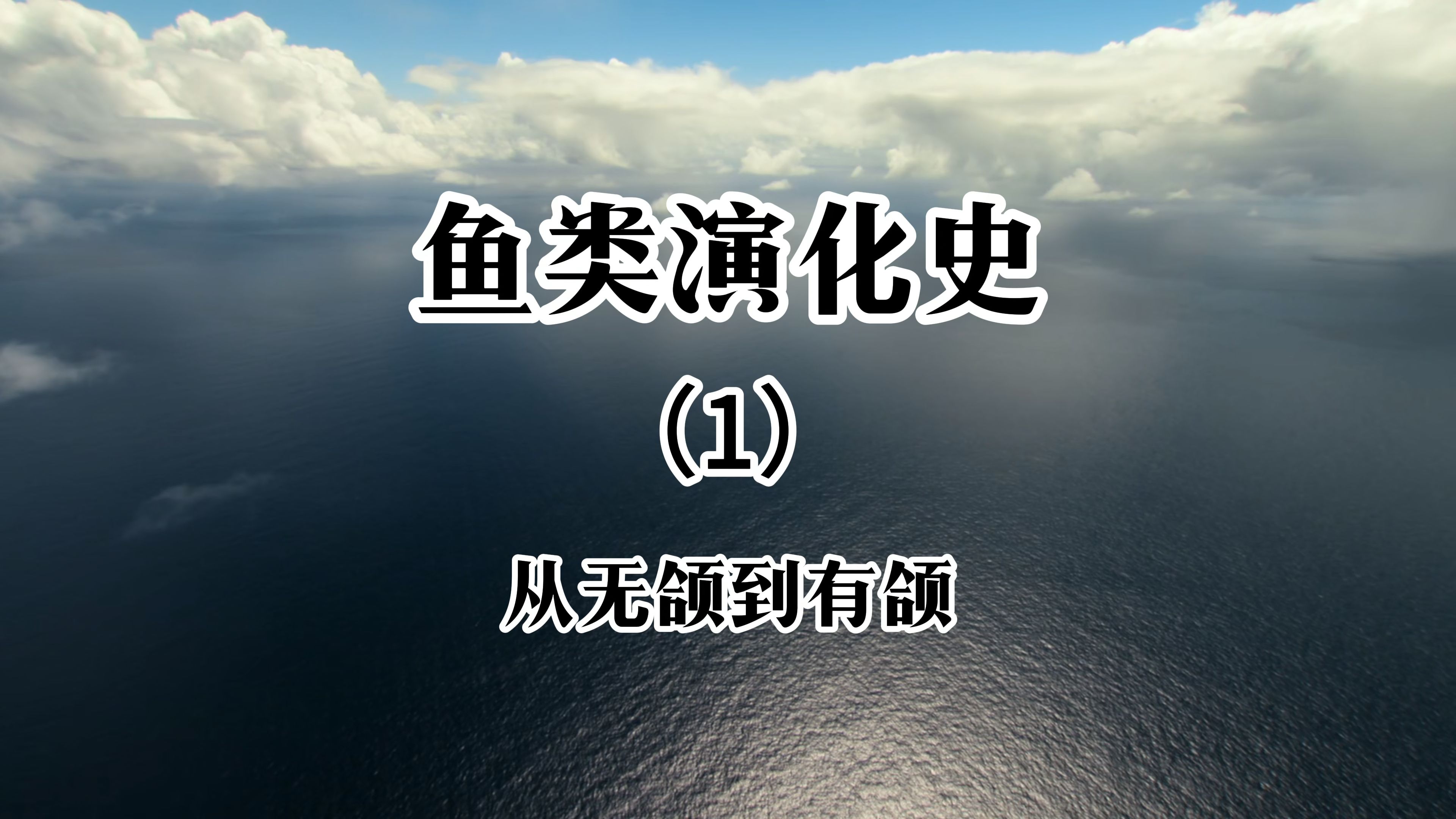 鱼类演化史(1)哔哩哔哩bilibili