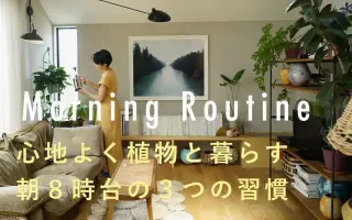 北欧绿植 搜索结果 哔哩哔哩 Bilibili