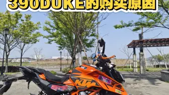 390DUKE的购买原因