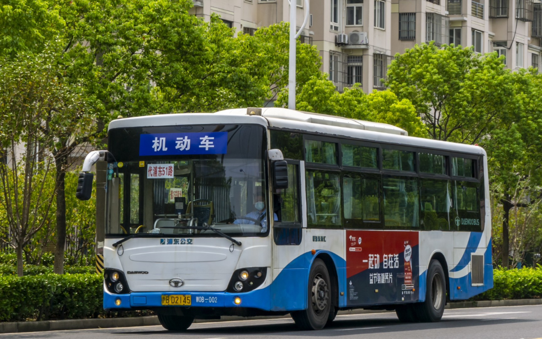 【上海公交·浦東南匯】浦東51路代車w0b-002(小泡菜)小合集_嗶哩嗶哩