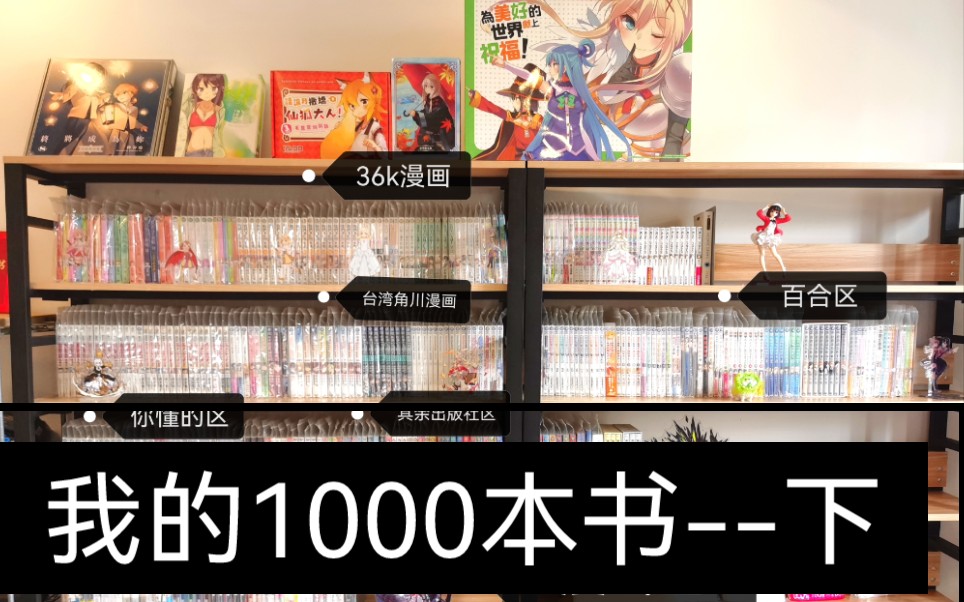 展示一下我的书柜们我和我的1000本书<下>哔哩哔哩bilibili