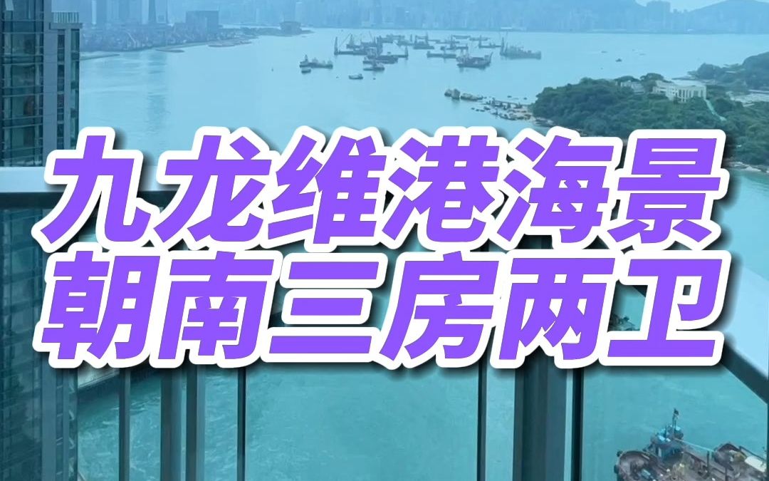 维港海景房都被你刷到了,说明你很旺啊哔哩哔哩bilibili