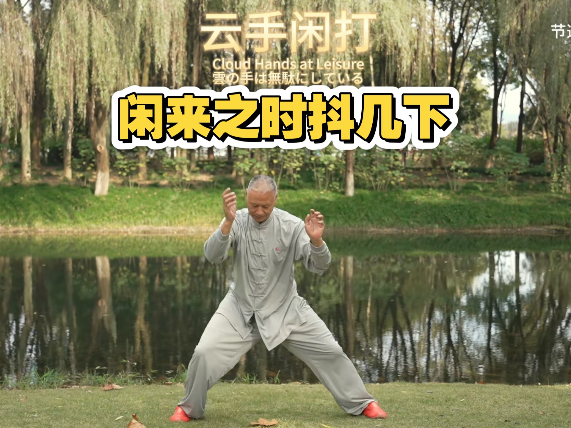 养生太极掌第一套教学视频李德印(养生太极掌第一套背面带口令分解教学)