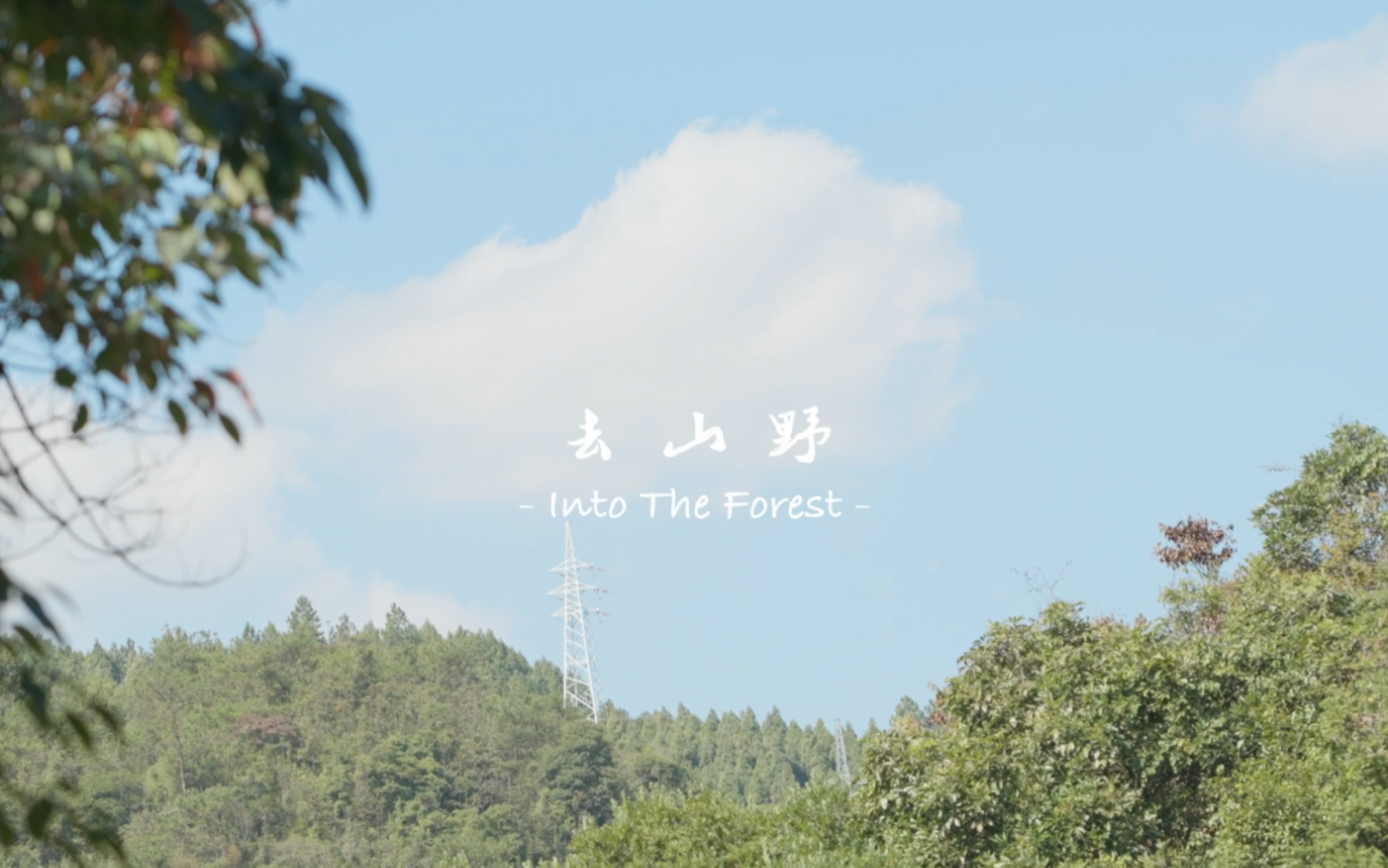 [图]去山野Into The Forest