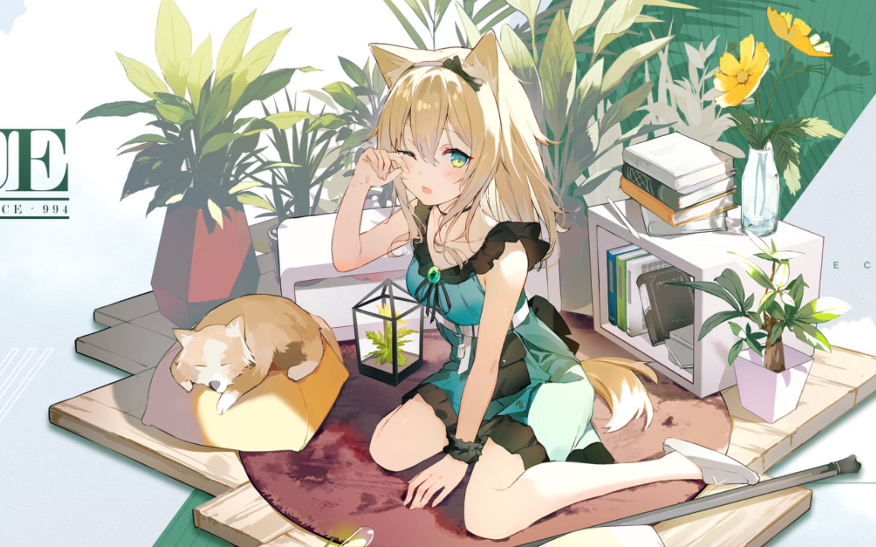 小憩初醒