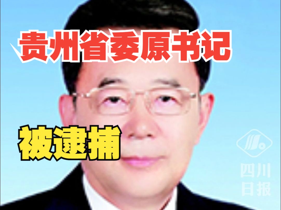 贵州省委原书记孙志刚被决定逮捕哔哩哔哩bilibili