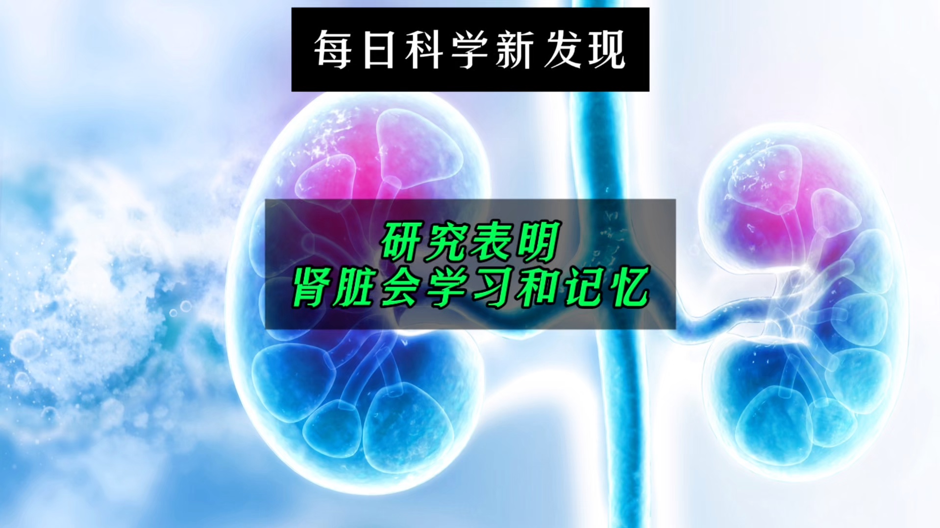 【每日科学新发现】研究表明肾脏会学习和记忆,记忆不仅仅只存在于大脑中哔哩哔哩bilibili