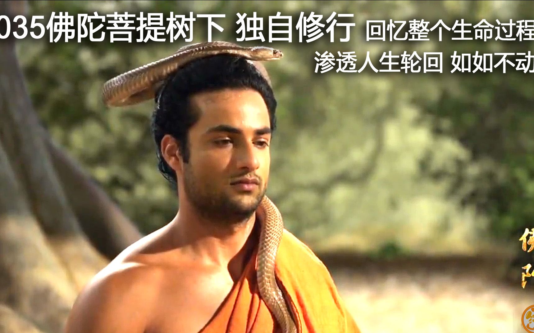 035佛陀菩提树下独自修行 回忆整个生命过程 渗悟人生轮回 如如不动