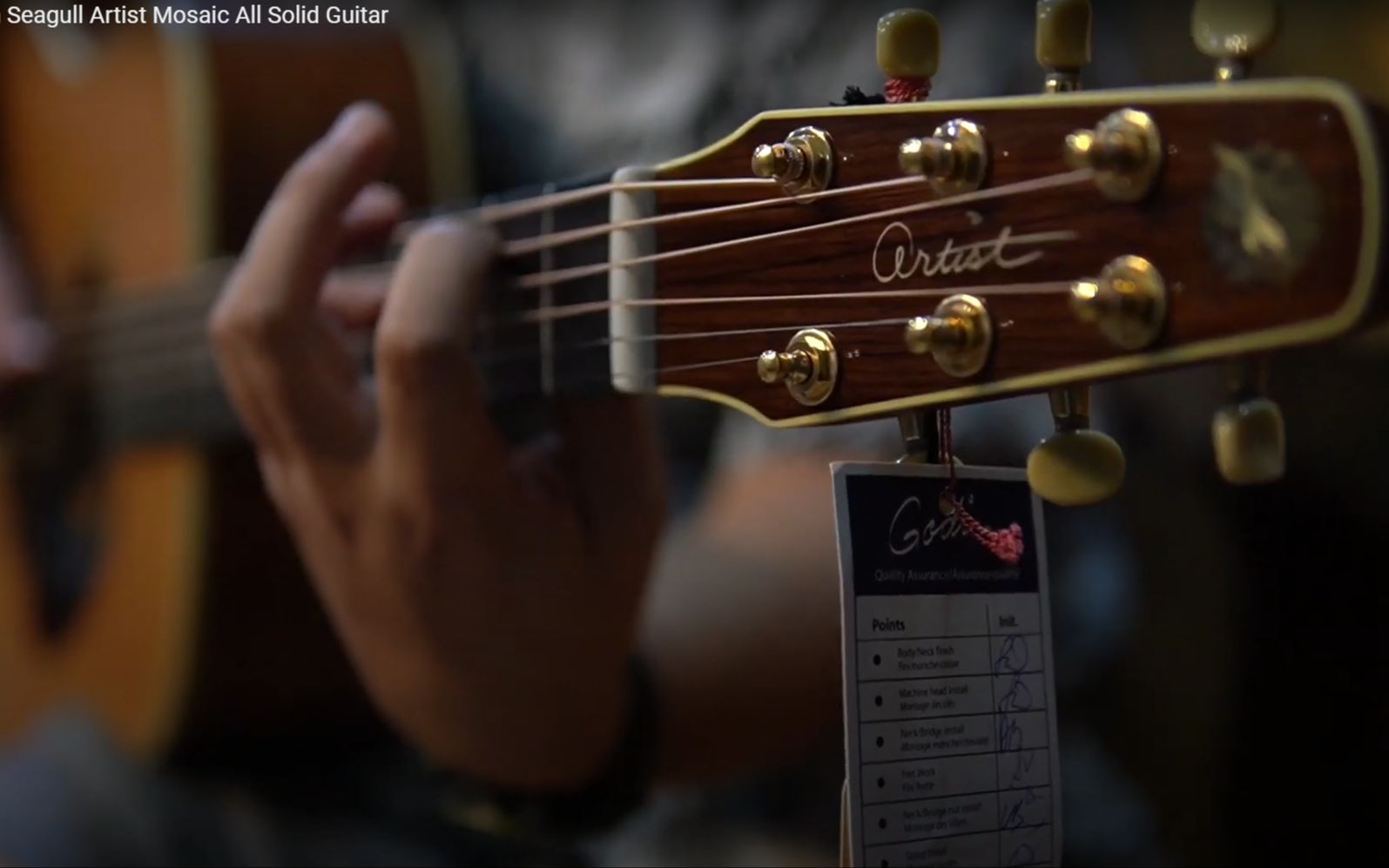 [图]【Seagull Guitar】艺术家系列Artist Mosaic