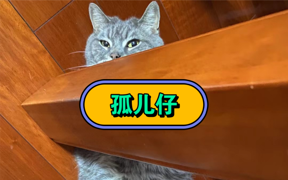 【孤儿仔】本来打算模仿苦荣,唱了一句觉得算了,自娱自乐了属于是