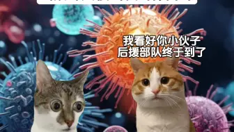 当病毒入侵我的体内.
