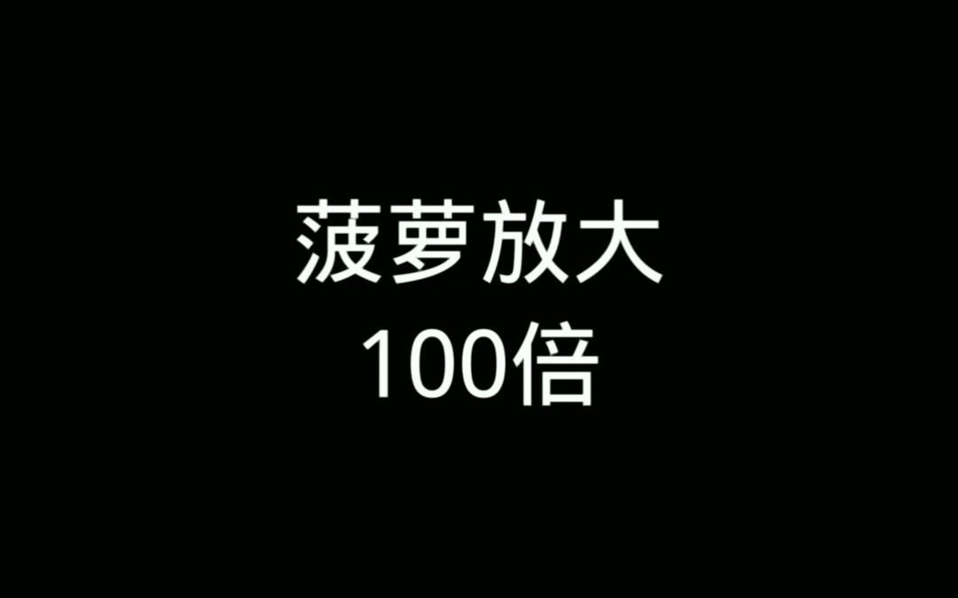 显微镜下将菠萝放大100倍!哔哩哔哩bilibili