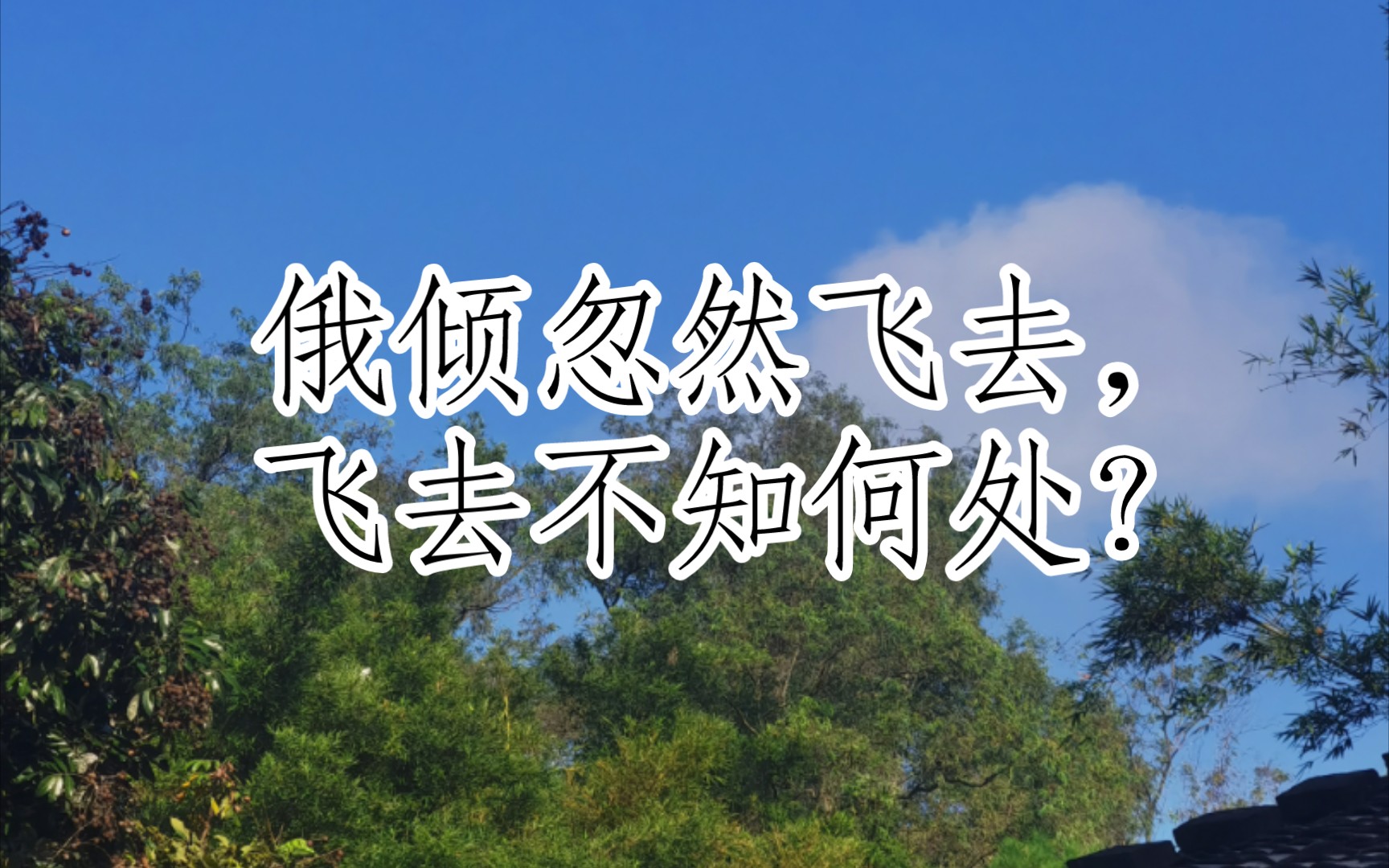 宋词三百首(昭君怨·赋松上鸥[宋代]杨万里)