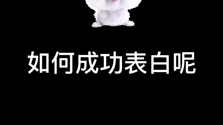 成功表白的套路哔哩哔哩bilibili