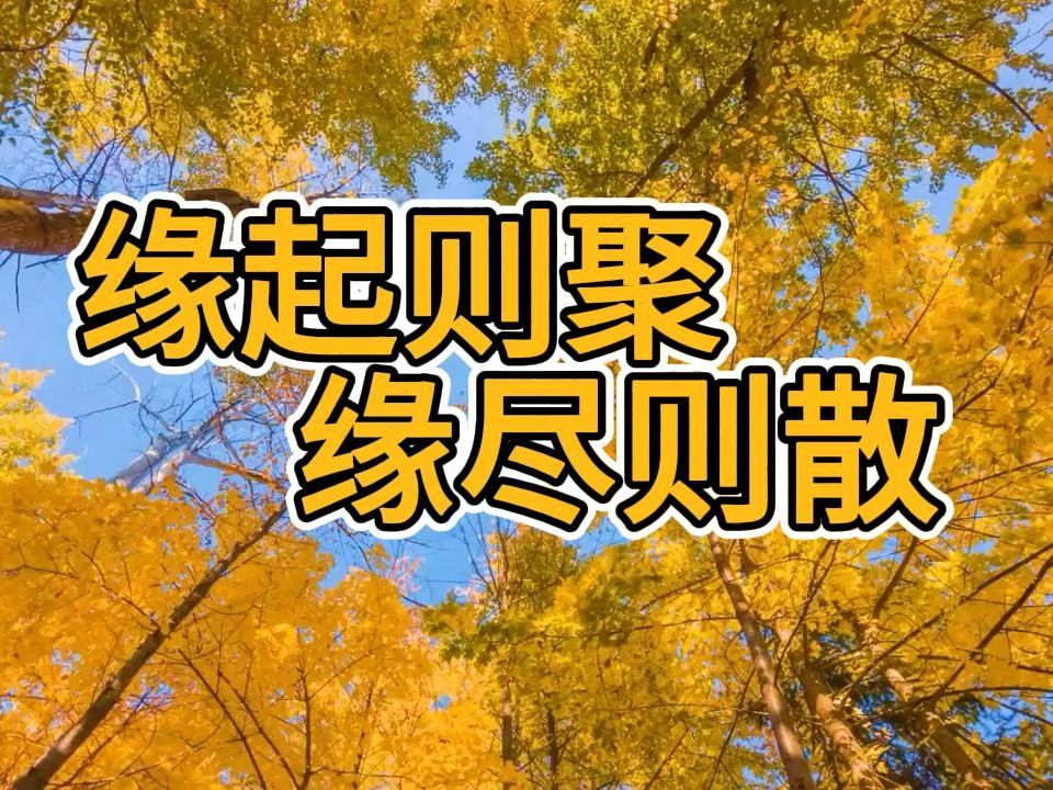 缘起则聚,缘尽则散