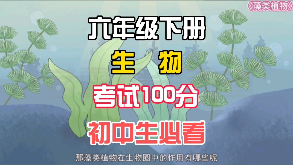 六年级下册生物《藻类植物》鲁科版,寒假预习重点知识,快速记忆,冲刺高分哔哩哔哩bilibili