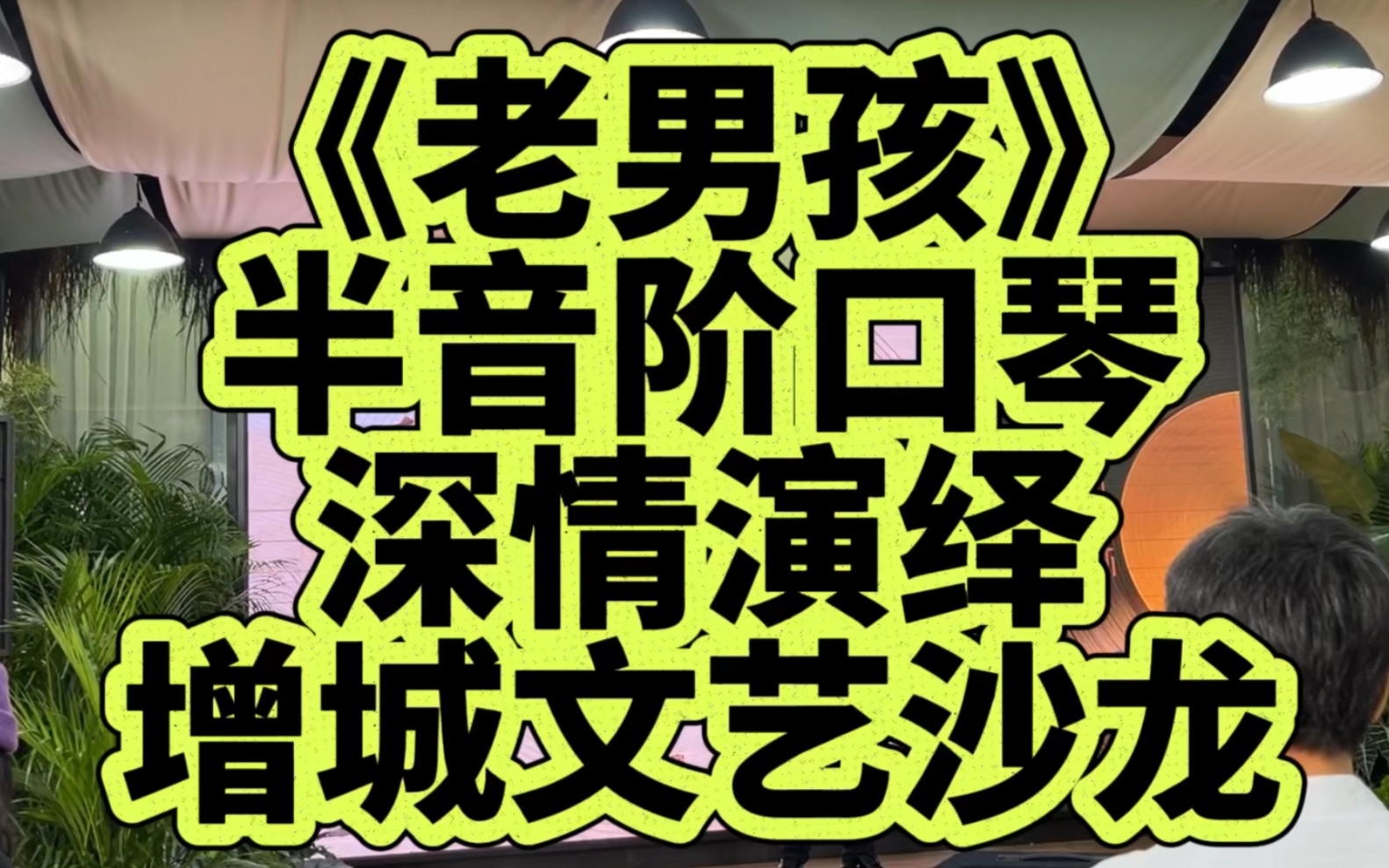 龙登杰丨《老男孩》和来280半音阶口琴