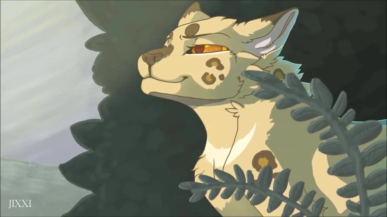 猫武士豹星caesar